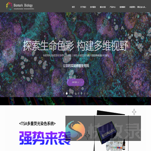 多玛克科技（北京）有限公司