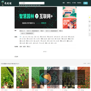 找树网