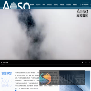 广东澳莎控股集团有限公司