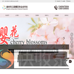 四川成都樱花