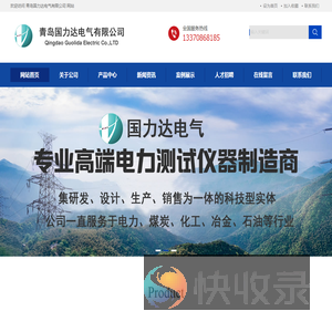 青岛国力达电气有限公司