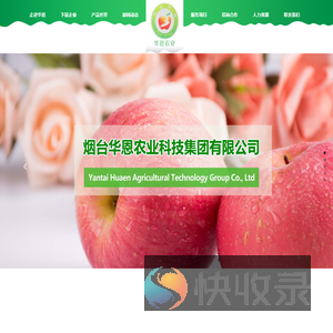 苹果苗