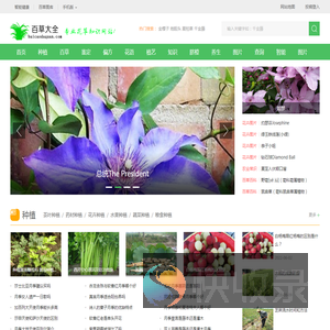 植物百科