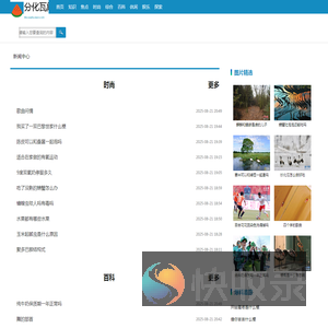 分化瓦解网