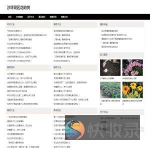 沙坪坝区花屿悦网络技术工作室（个体工商户）