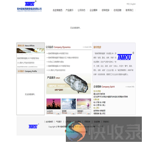常州堤维西精密模具有限公司