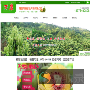 种植好项目/万康农业