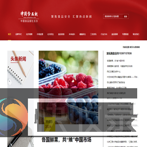 中国食品网