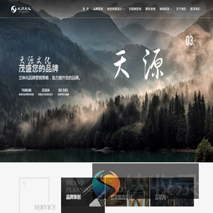 天津品牌策划,天津营销策划,天津广告策划公司,天源文化