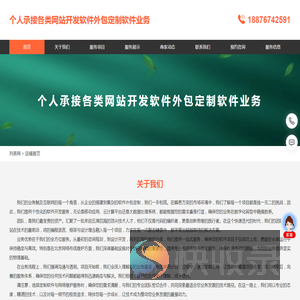 个人承接各类网站开发软件外包定制软件业务