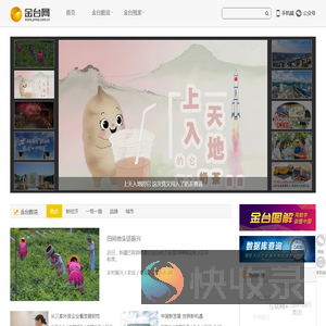 金台网