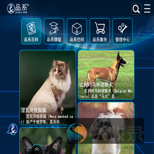 品系