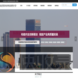 北京博思远略咨询有限公司网站