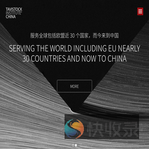 塔维中国