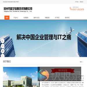 沧州市蓝宇信息技术有限公司