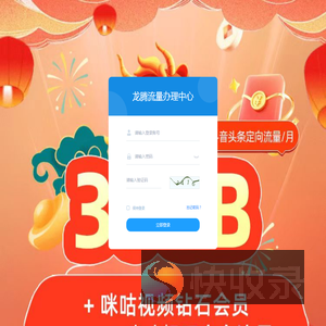 龙腾流量办理中心