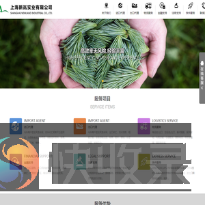 上海新岚实业有限公司丨进出口代理丨进口代理丨出口代理丨海运进出口丨空运进出口丨船代租船丨报关报检丨出口退税丨出口贷款融资丨代理进口开证