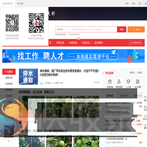 寻乌在线