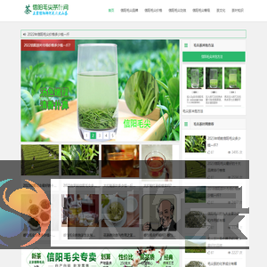 信阳毛尖价格