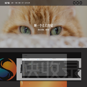 丸子·张丨OnesZhang