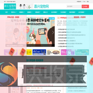 中宠网