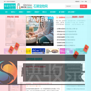 中宠网