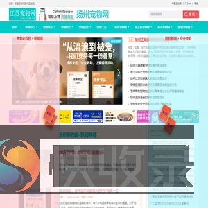 中宠网