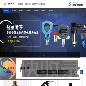 宝鸡市智星传感器有限责任公司