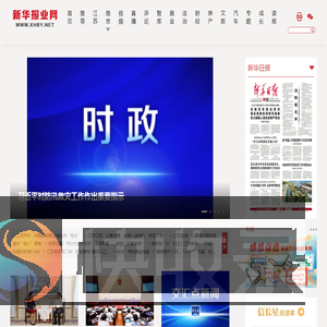 新华报业网