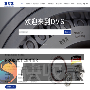 DVS集团