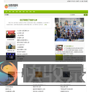 龙蹲虎踞网