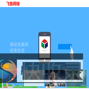 飞鱼网络