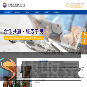 陕西亿科医药有限公司