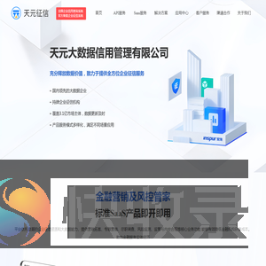 天元征信