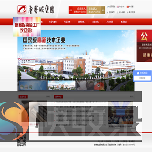 康赛妮集团有限公司