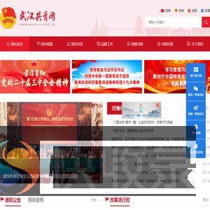 共青团武汉市委员会