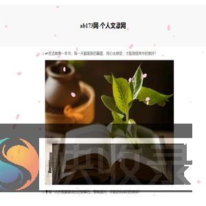 173软件站