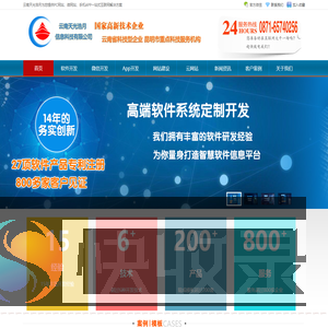 软件开发