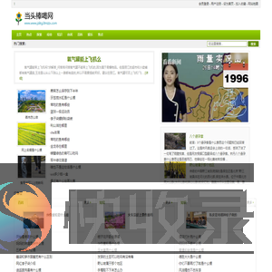 当头棒喝网