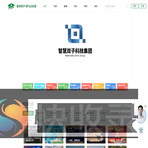 智慧双子