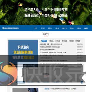 重庆小微企业融资担保公司