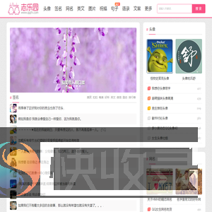 QQ志乐园
