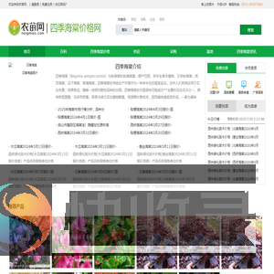 四季海棠价格
