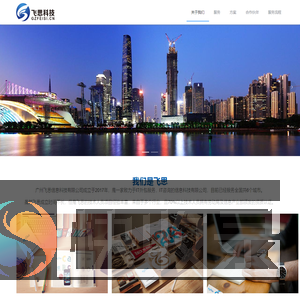 广州飞思信息科技有限公司