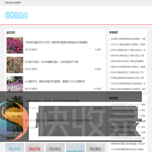 升邦信息网