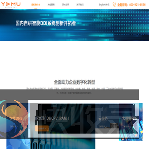 智能DNS设备