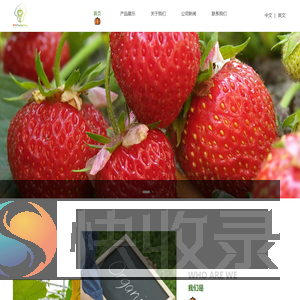 上海艾妮维农产品专业合作社