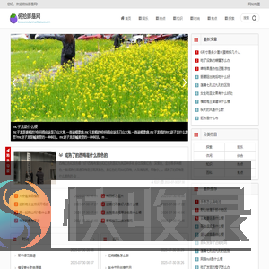 俯拾即是网