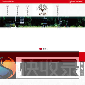 英亨茶叶