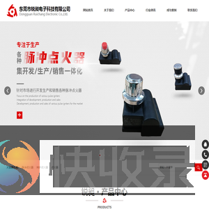 脉冲点火器